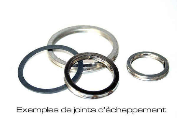 Výfukový tesnovač Centauro 666b11007