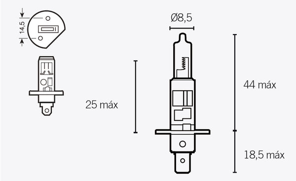 V Časti H1 žiarovky 12V 55W 14636