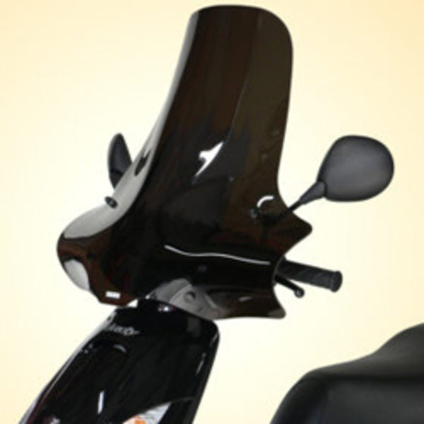 V PARTS Standard Windshield Clear Peugeot Vivacity PE003PBIN 