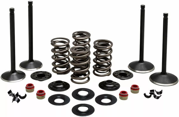 Kit Kibblewhite Valve Kit Comp 84-98 EVO 20-22650