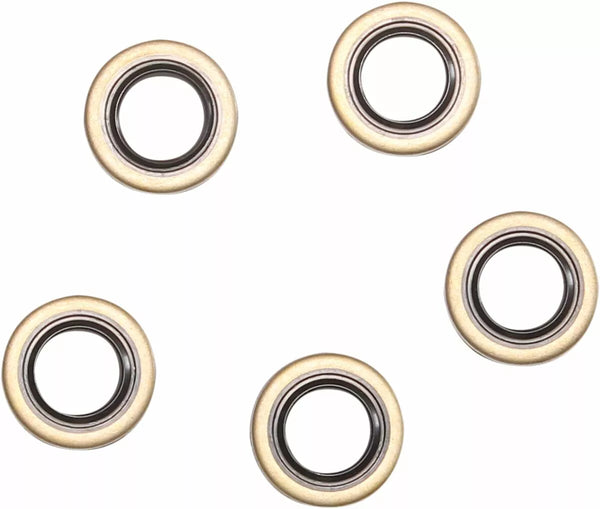 Cometické tesnenie bodu DBL Lip 5pk C9350