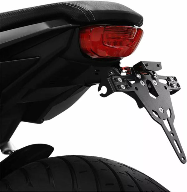 Zieger LCS plt HLD typ A CB650R 10008026