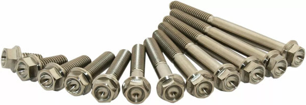 Scar Titanium Bolt M6x25 Pack of 2 Stim6x2502