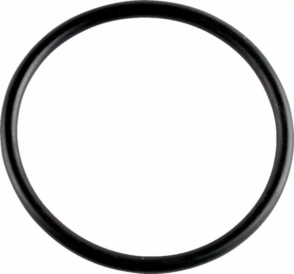 WSM ORING CAM COVER 008-600-01