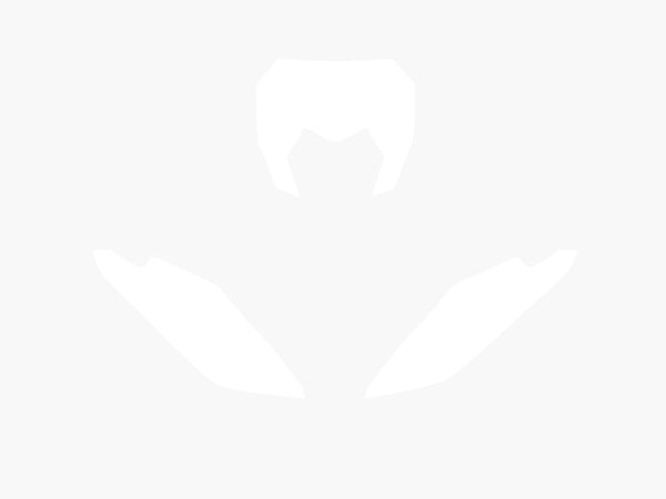 Nálepky na dosku Blackbird White Fantic XX 3F00/000005