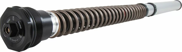 Ohlins Cabtridge BMW R Nine T Nix30 F FKS 505