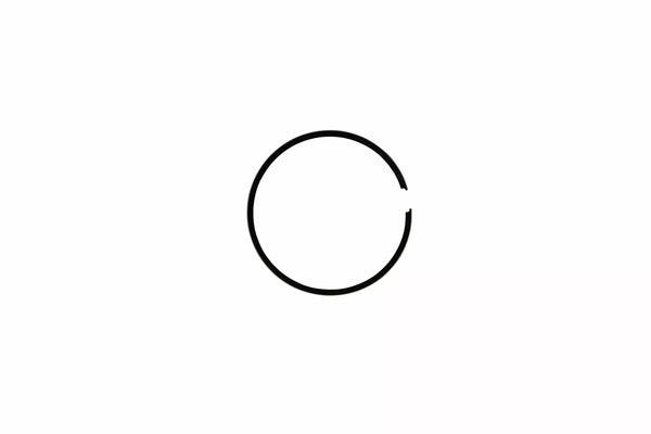 Airsal Ring Set Pia NRG/ZIP LC 11061940