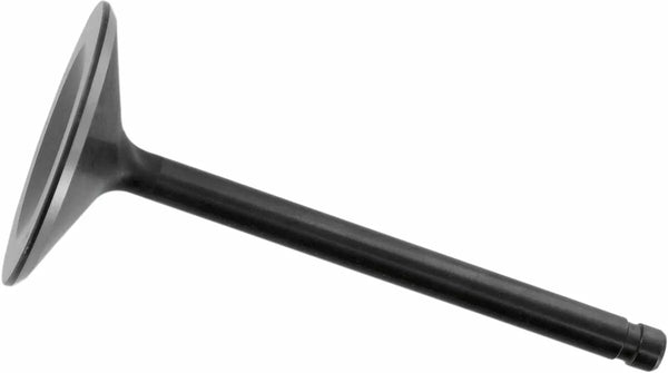 KibbleWhite Valve in 2000TC88 99-04 20-20108