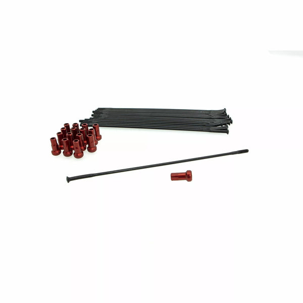 Kit Kite SPOKE Kit FR 19 BK/RD 20.926.1.RO