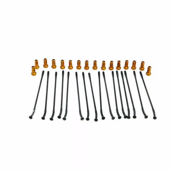 Kite Spoke Kit RR 14 BK/OR 20.925.1.AR